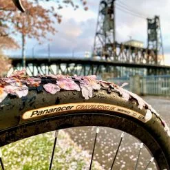 Pneu Vélo Gravelking SK Panaracer 650 / 700 Tubeless Compatible -Magasin De Pneus Reha gravelking sk 4 jpg