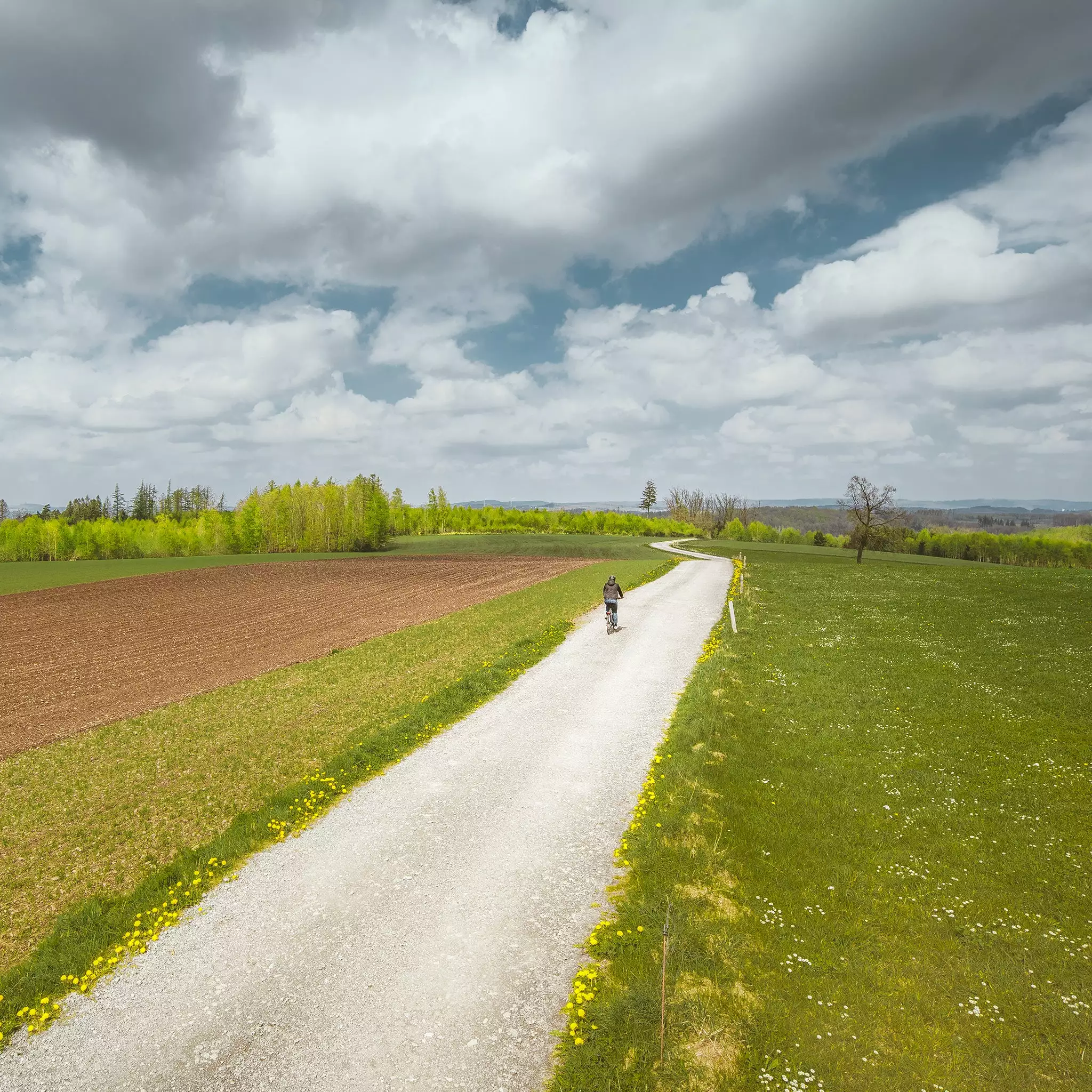 Pneu Vélo Schwalbe Marathon Plus Tour Addix 700 / 28 Pouces 5 Pneu Vélo Schwalbe Marathon Plus Tour Addix 700 / 28 Pouces – Image 5