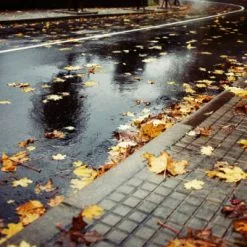 Pneu Vélo Michelin StarGrip 700 X 40C Réflecto -Magasin De Pneus Reha pneu velo michelin stargrip 700x40c reflecto full 5