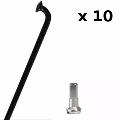 CN-Spoke Rayons Vélo Noirs 2 Mm Avec écrous - Lot De 10 Pièces 1 CN-Spoke Rayons Vélo Noirs 2 Mm Avec écrous - Lot De 10 Pièces